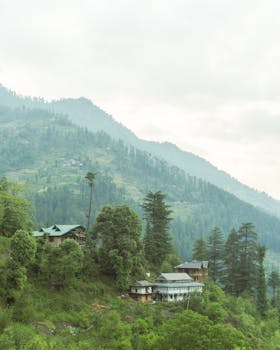 Picturesque hillside homes amidst lush greenery in Sharchi, Himachal Pradesh, India.