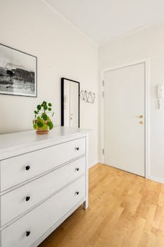 Minimalist room with a white dresser, door, and decorative plant for modern spaces.