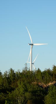 Two wind turbines towering over lush green trees under a clear blue sky.